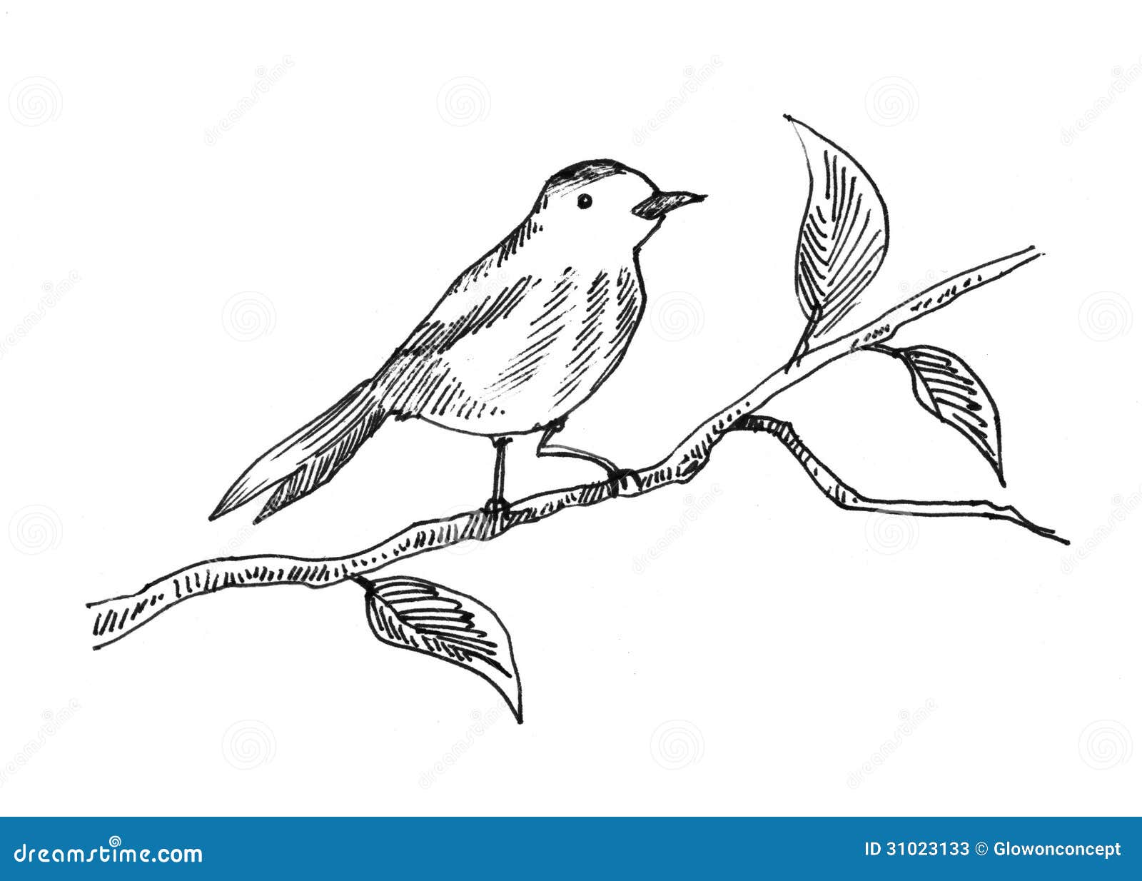 Птица на дереве карандашом