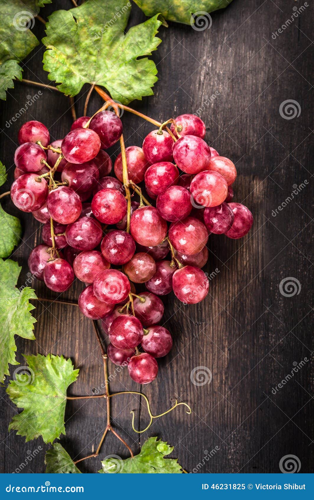 Пук розовых сочных виноградин от лозы и листьев на темном деревянном столе, предпосылке плодоовощ