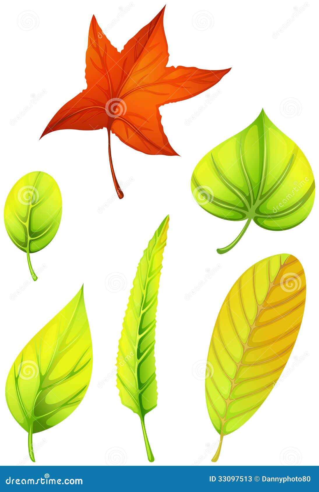 6 Разных листьев