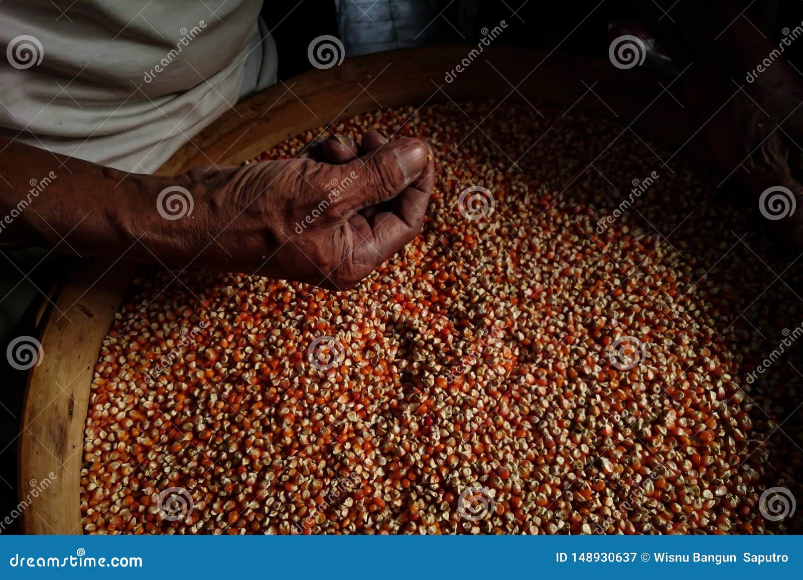 Рука в семени семена томатов покупатели