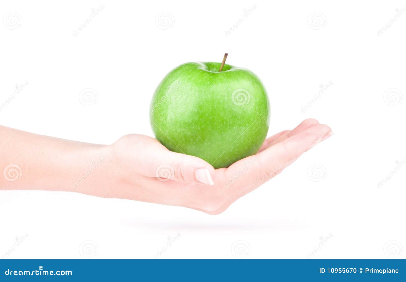 Зеленое яблоко в руке