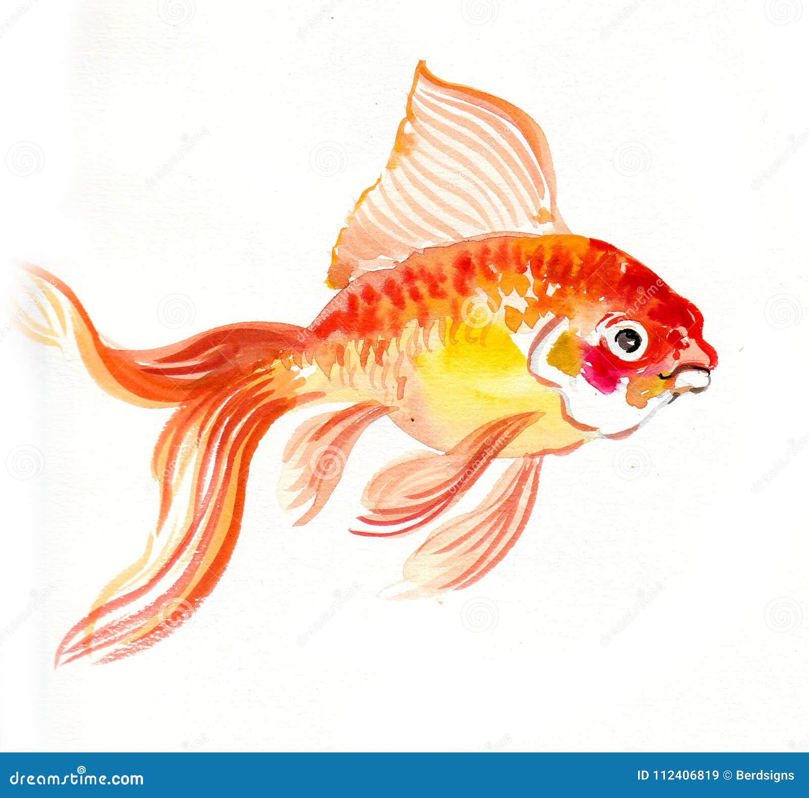 Золотая рыбка на стене