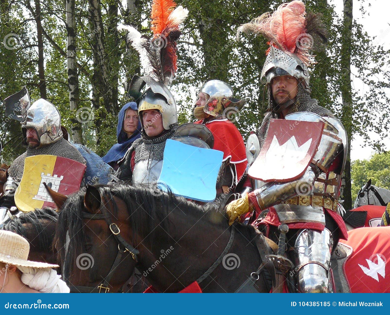 Огромный рыцарь Battle of Grunwald
