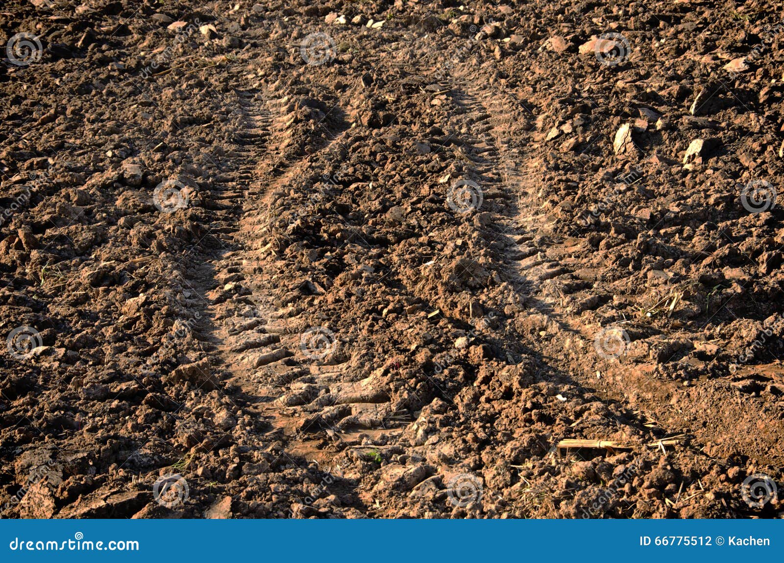 След 5 колеса стоковое фото. изображение насчитывающей автомобиль ...