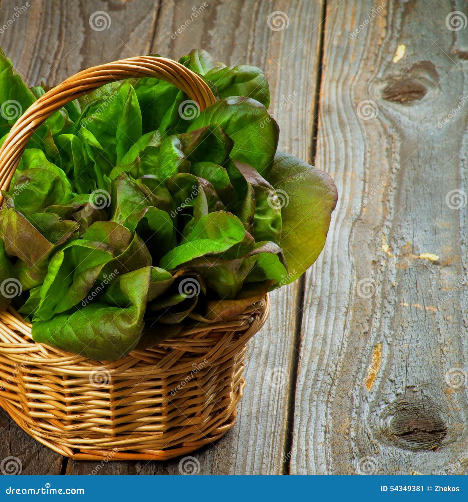 Салат Butterhead стоковое изображение. изображение насчитывающей