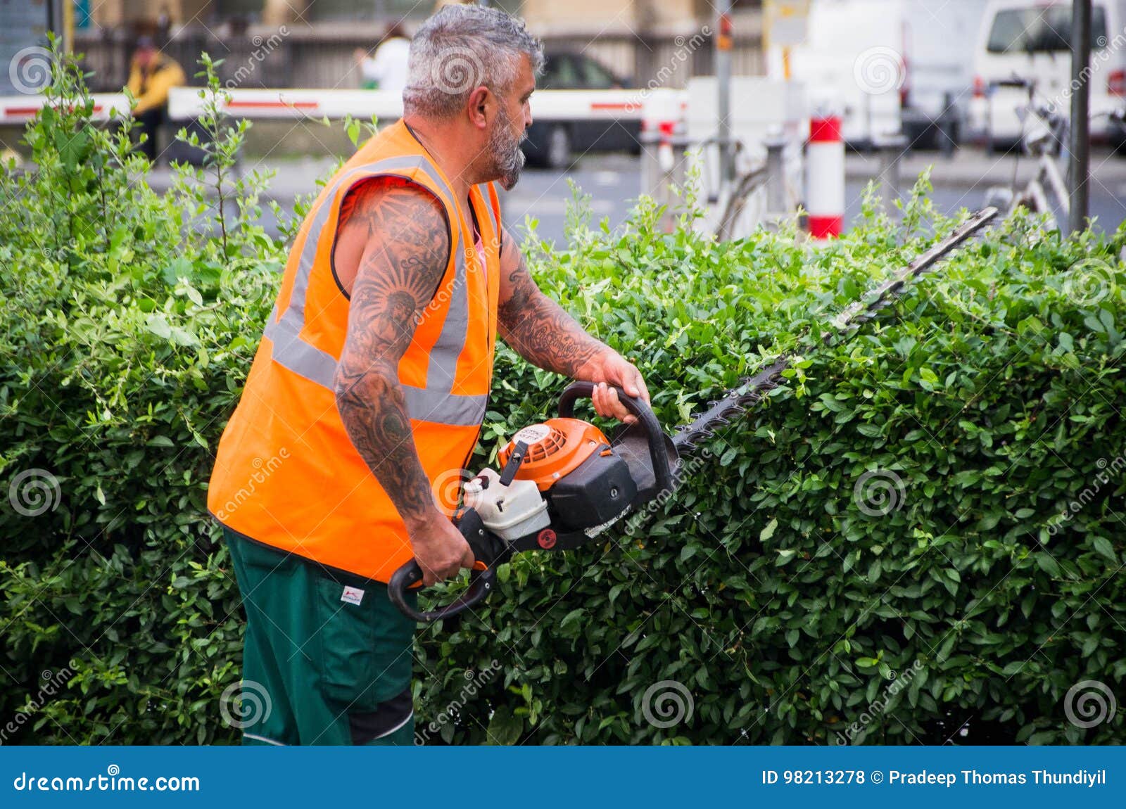 Садовник на работе редакционное стоковое фото. изображение ...