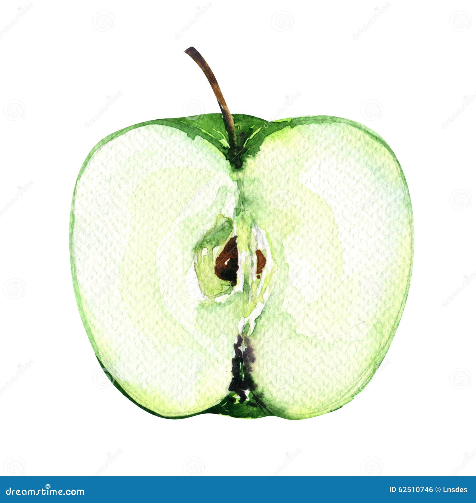 Яблоко половина акварель