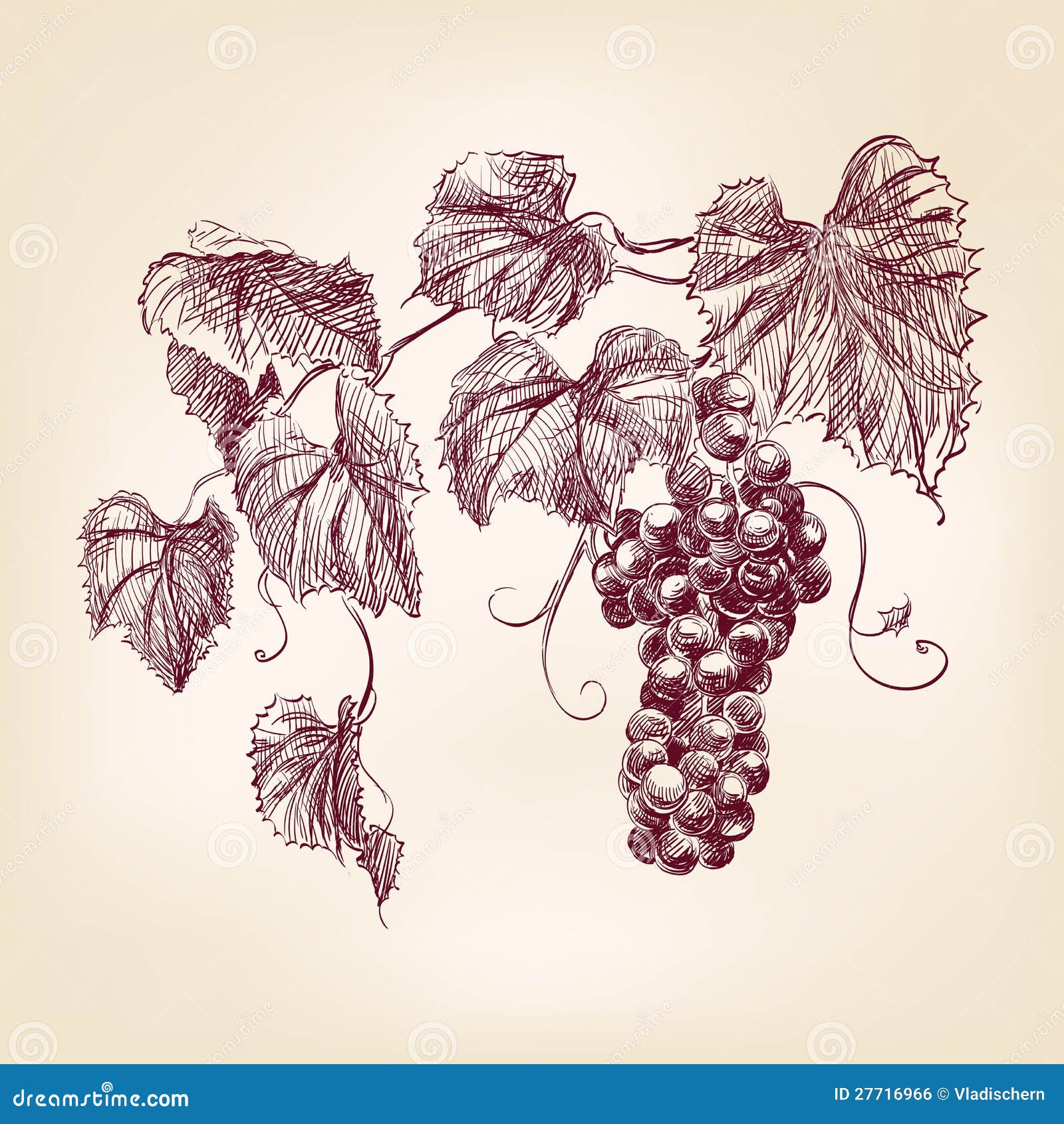 Винтажная Виноградная лоза рисунок