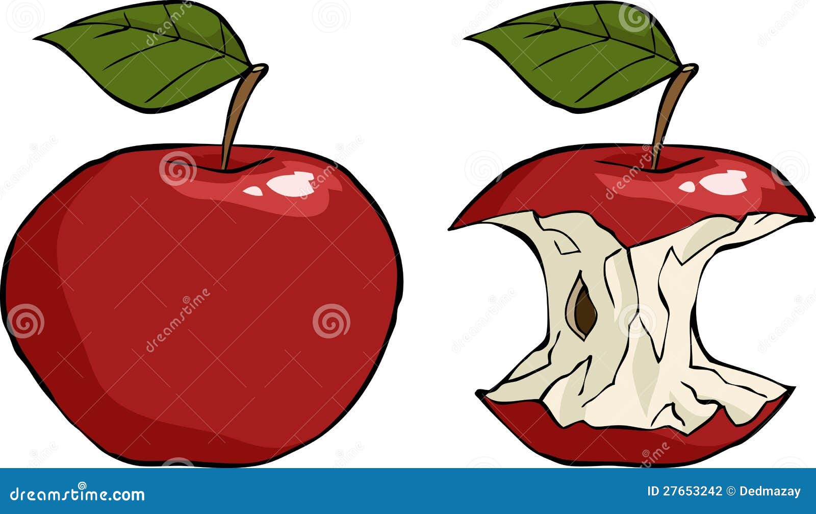 Яблоко и яблочный огрызок