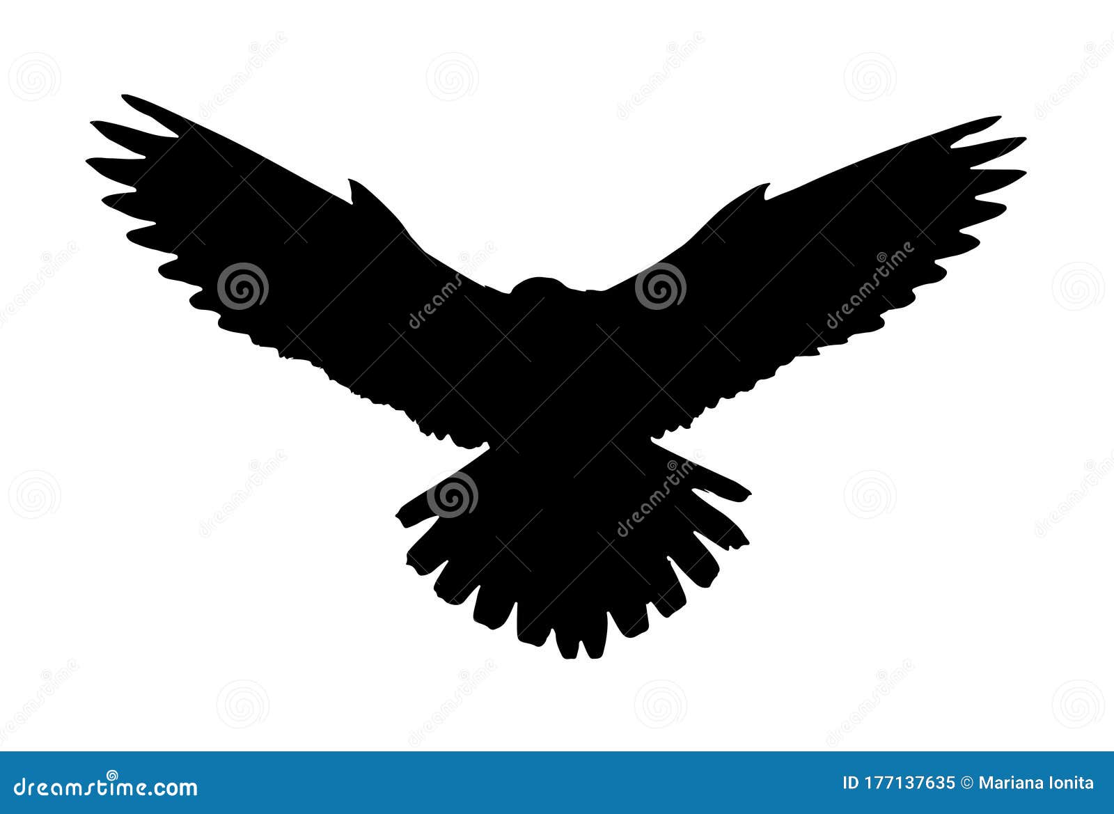 Силуэт летающий сокола иллюстрация вектора. иллюстрации насчитывающей ...