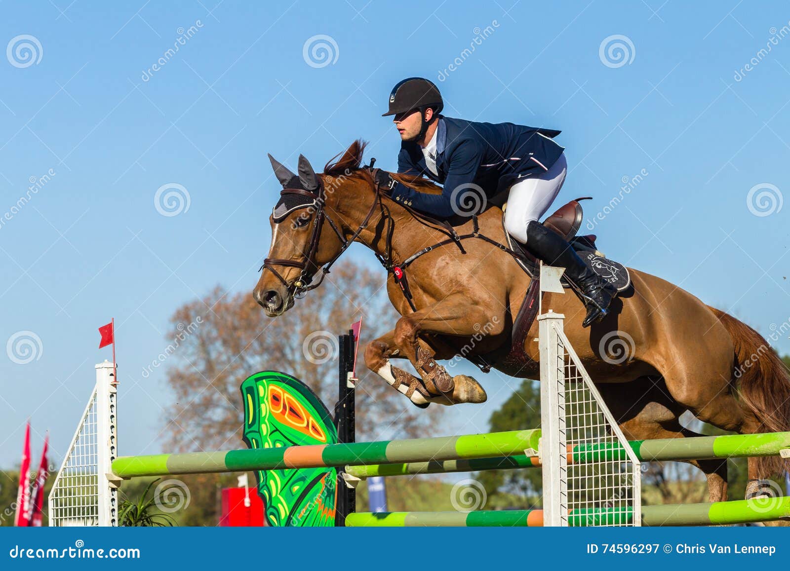 Скакать лошади всадника редакционное фотография. изображение ...