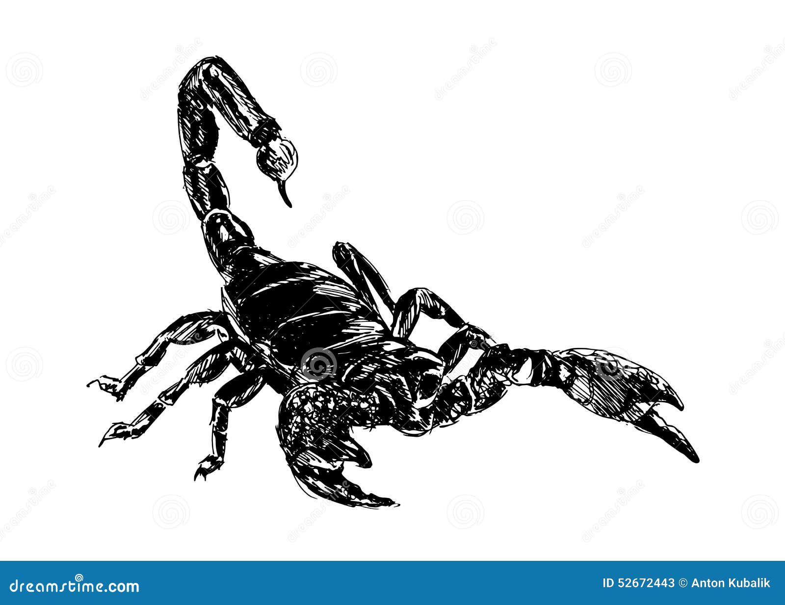 Скорпион рисунок реалистичный