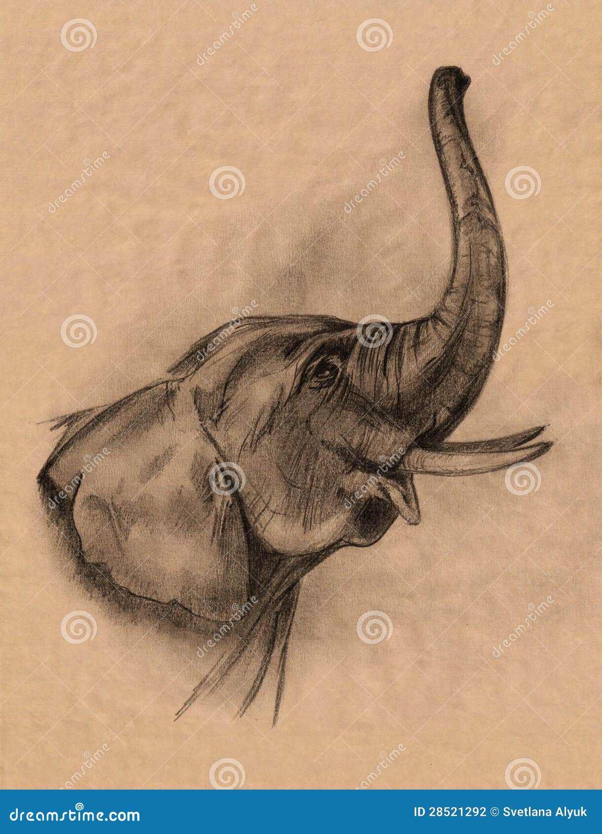 Голова слона в профиль