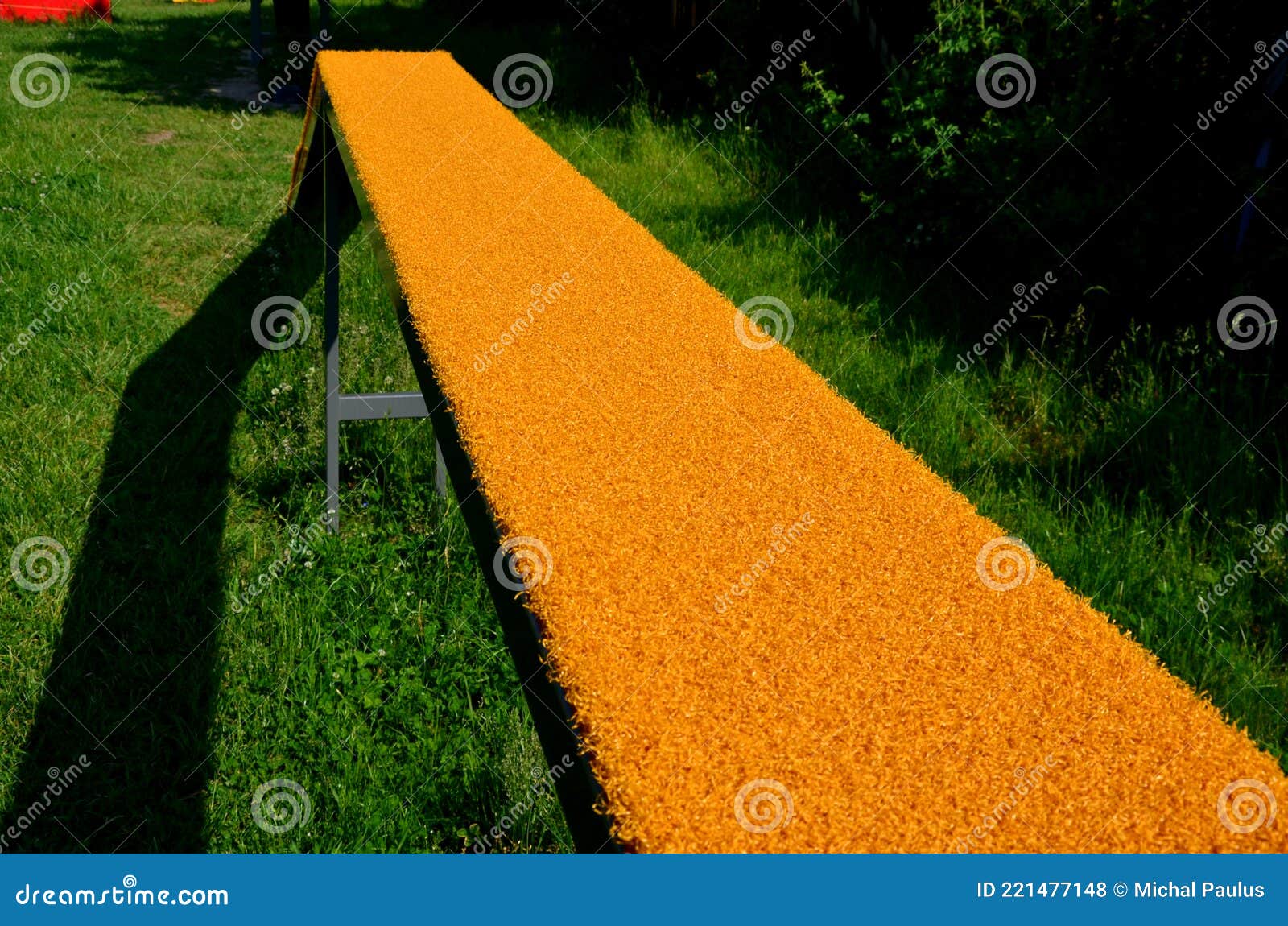 собачий парк. площадка для дрессировки собак. туннели и балки полосы ...