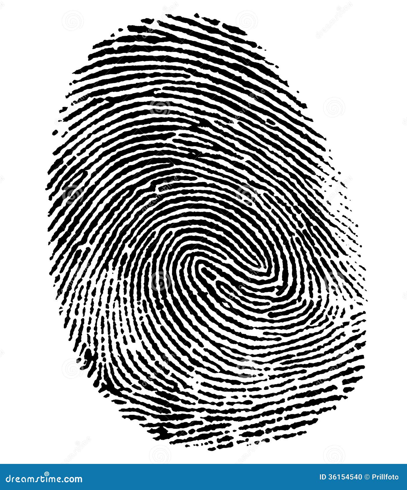 Совершенный отпечаток пальцев большого пальца руки Иллюстрация штока ...