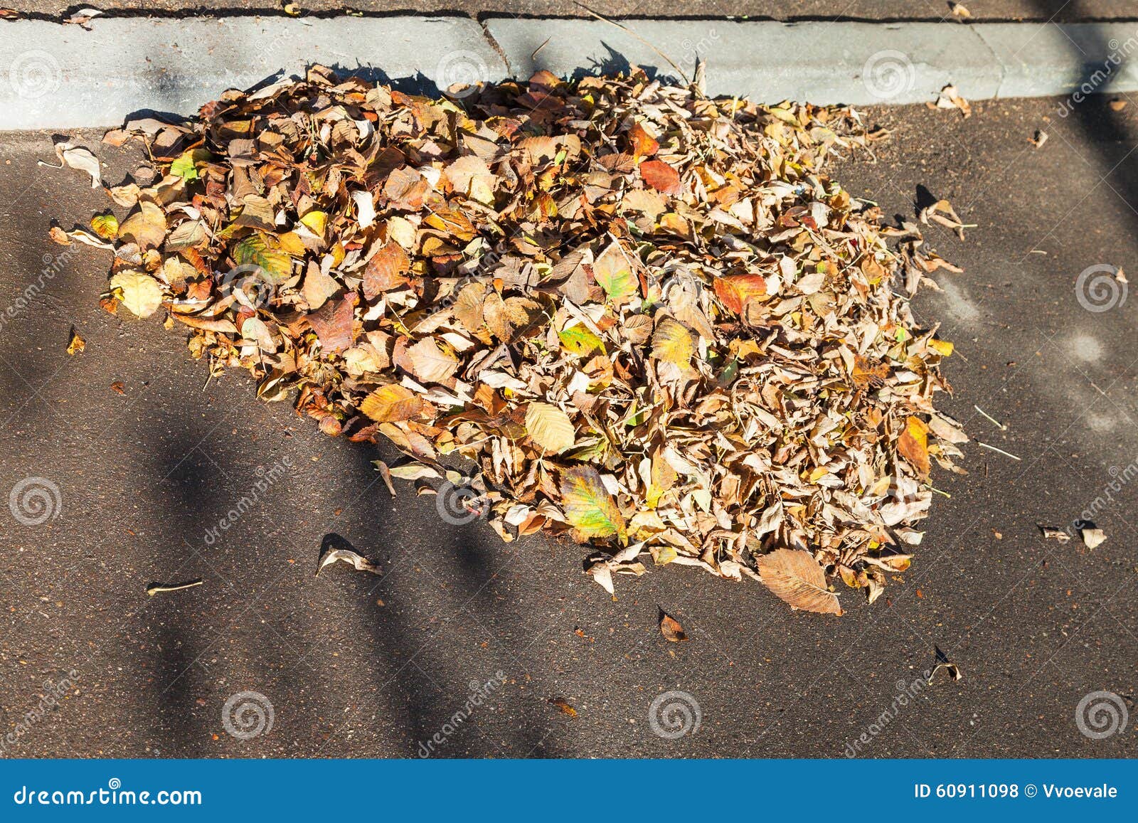 Сор лист на тротуаре в осени. Сор лист загоренный солнцем на тротуаре в утре осени