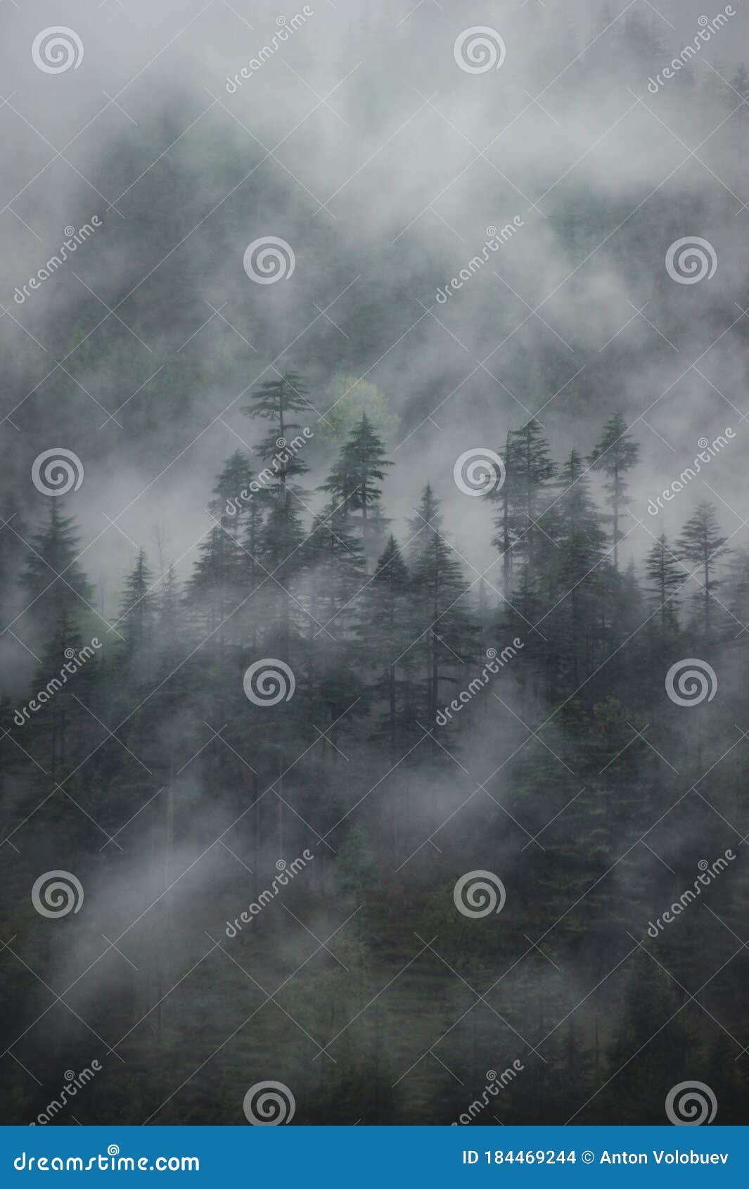 Архитектурные шедевры