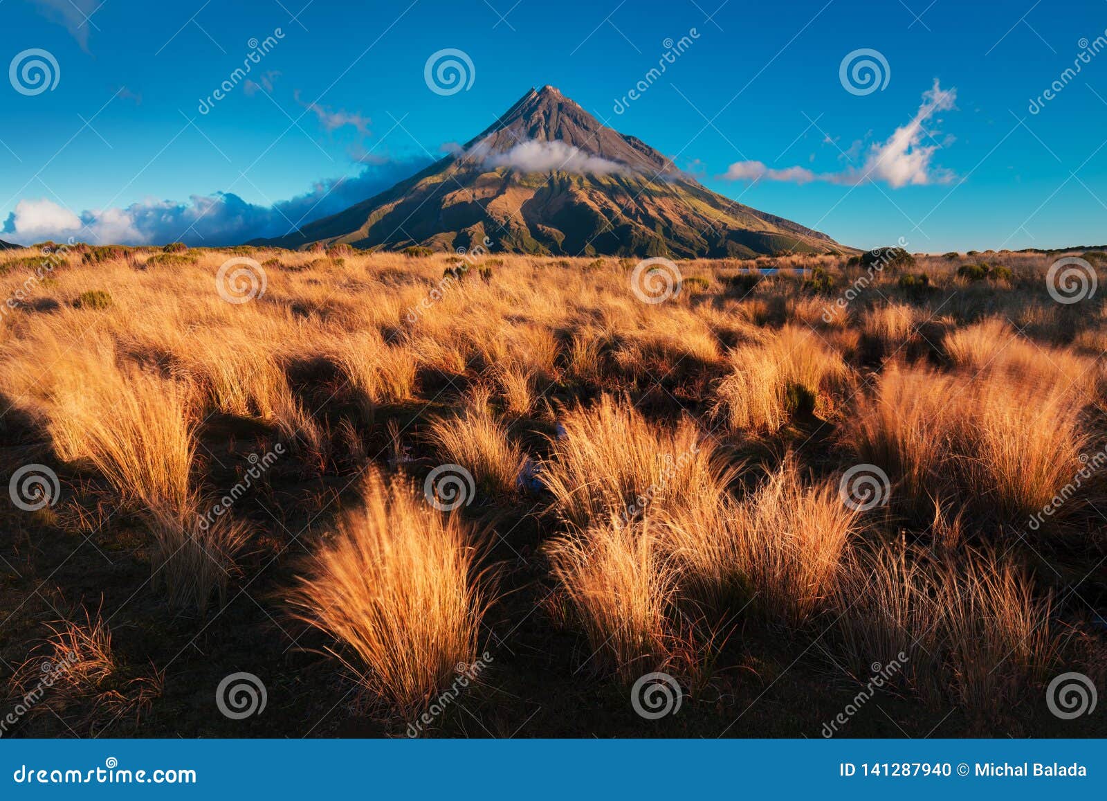 Сочная трава и держатель Taranaki вулкана конуса, Новая Зеландия на заходе солнца от Pouakai Большинств популярное туристское назначение в южном острове