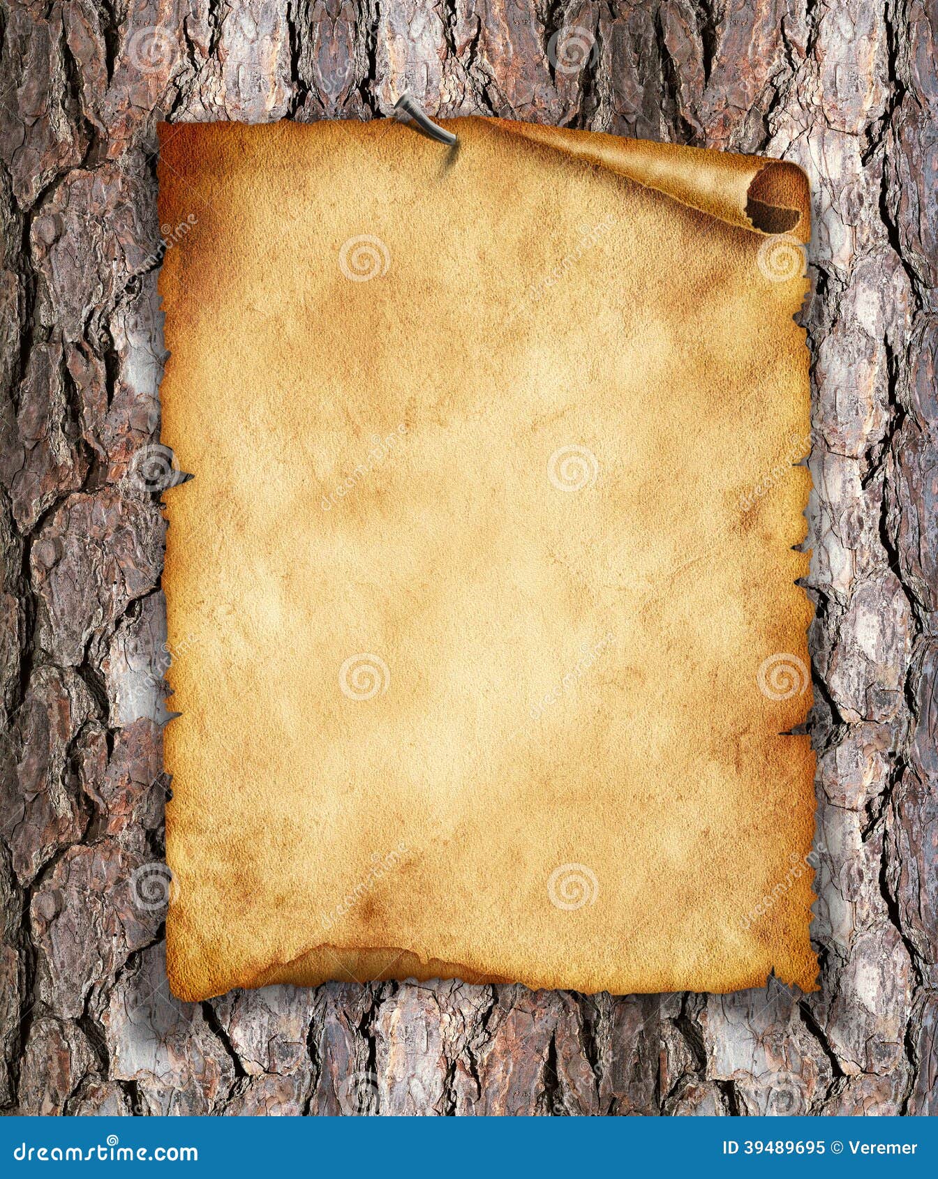 Дерево на старой бумаге
