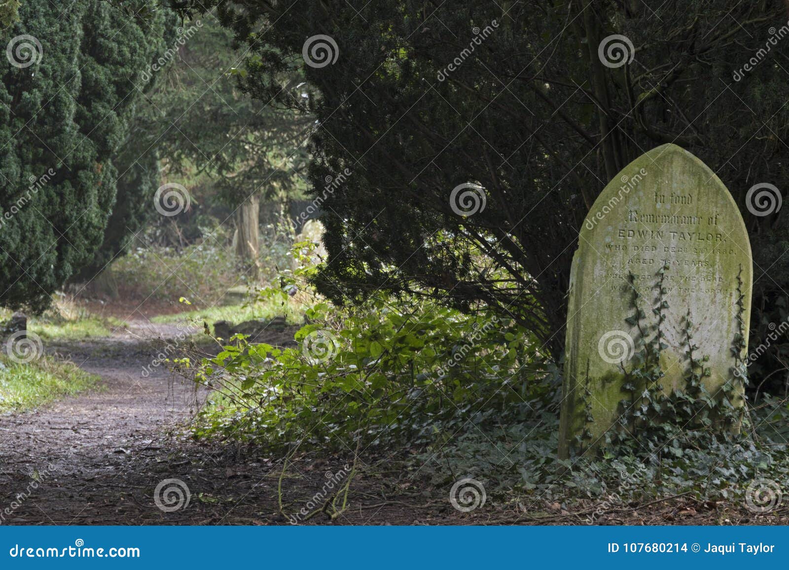 Старое кладбище, общее Саутгемптона. Путь в старом кладбище на общем Саутгемптона, Хемпшире, Великобритании