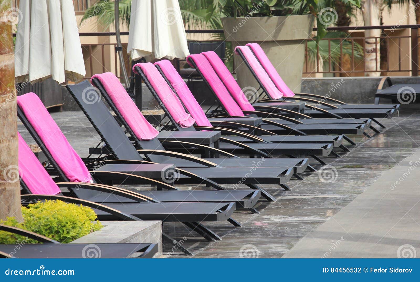 Строка стульев бассейна. Строка стульев рядом с бассейном с розовыми полотенцами