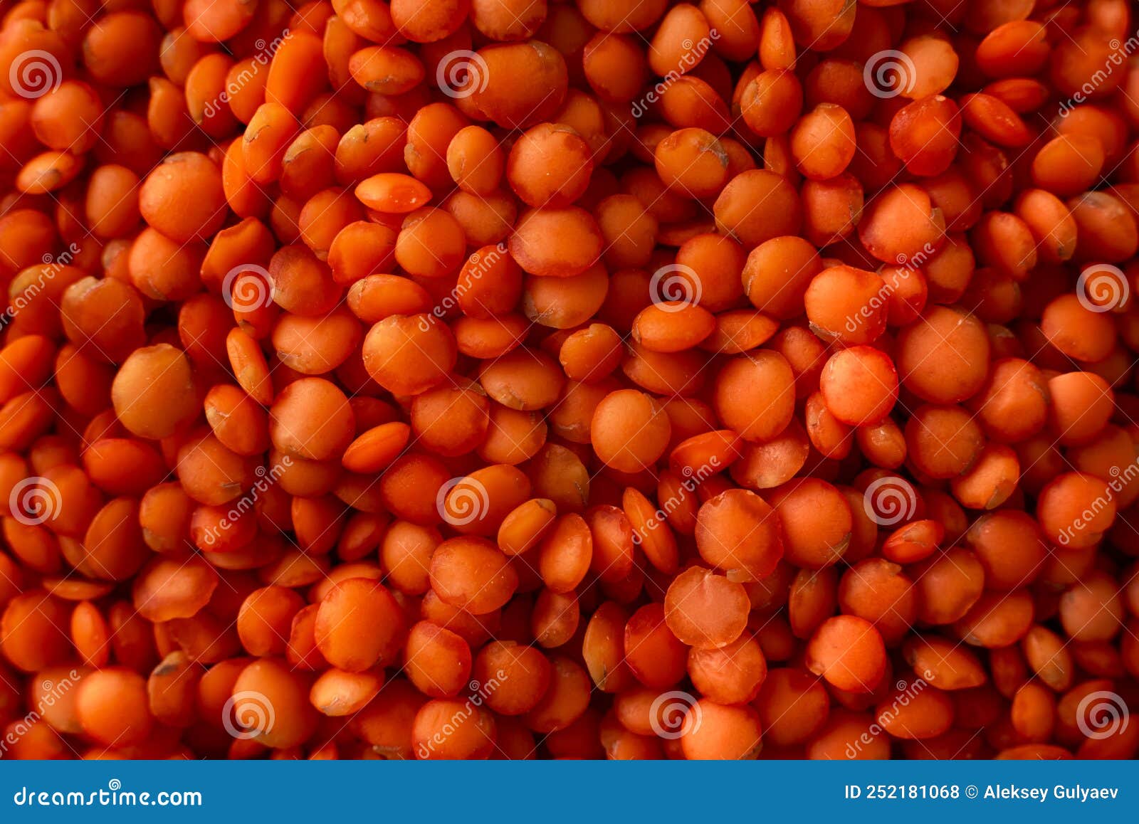 сухие красные чечевицы очень близко. красная чечевица. сушеный ...
