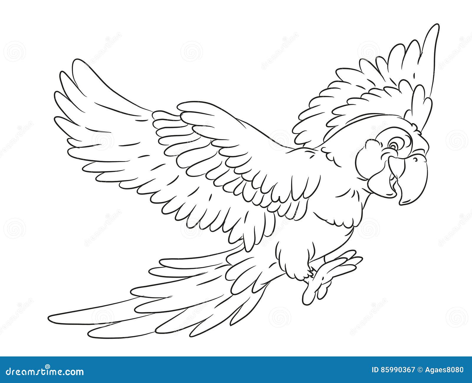 Головы животных раскраска попугай