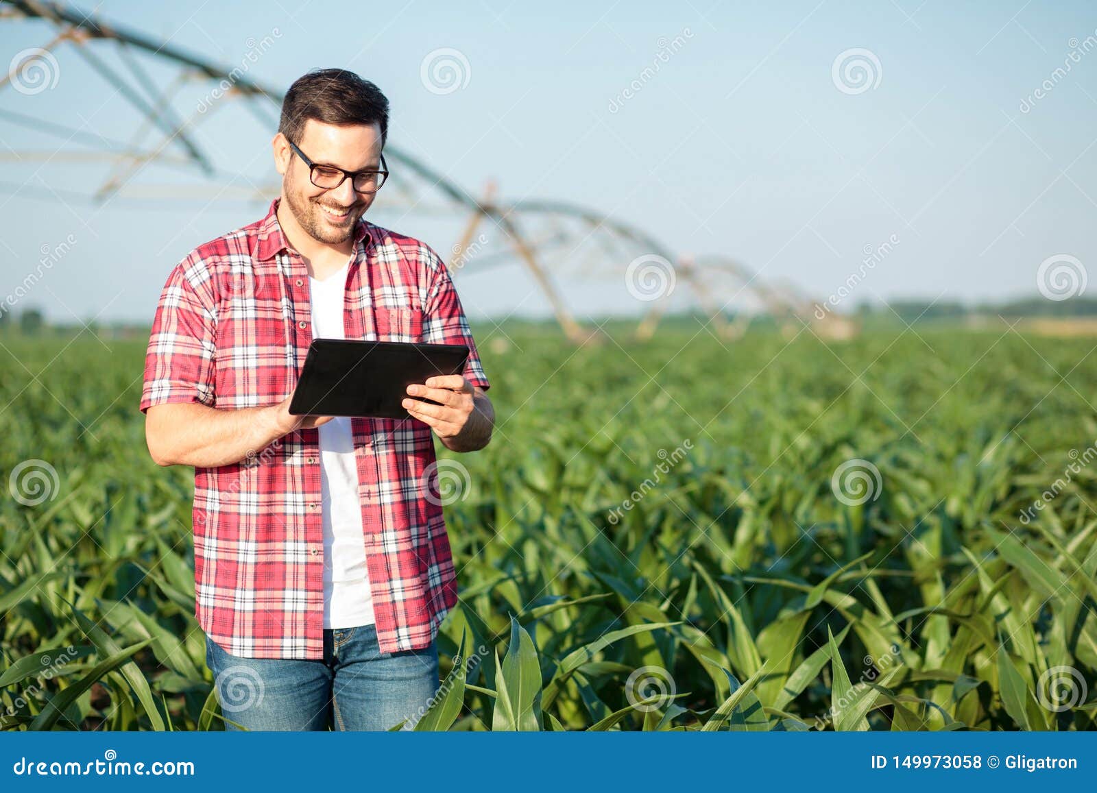 Счастливые молодые фермер или agronomist используя планшет в кукурузном поле Оросительная система на заднем плане. Счастливые молодые фермер или agronomist в красной checkered рубашке используя планшет в кукурузном поле Оросительная система на заднем плане Органические сельское хозяйство и производство продуктов питания