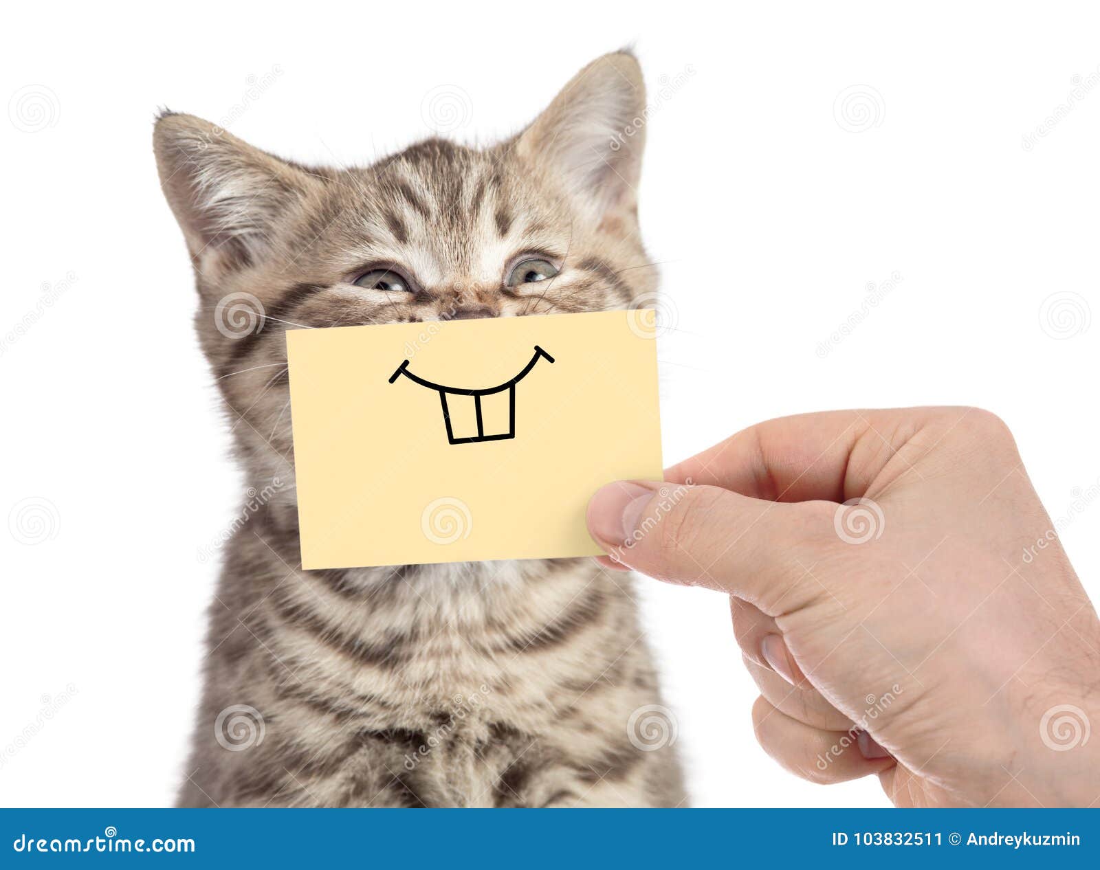 Веселый кот рисунок - 73 фото