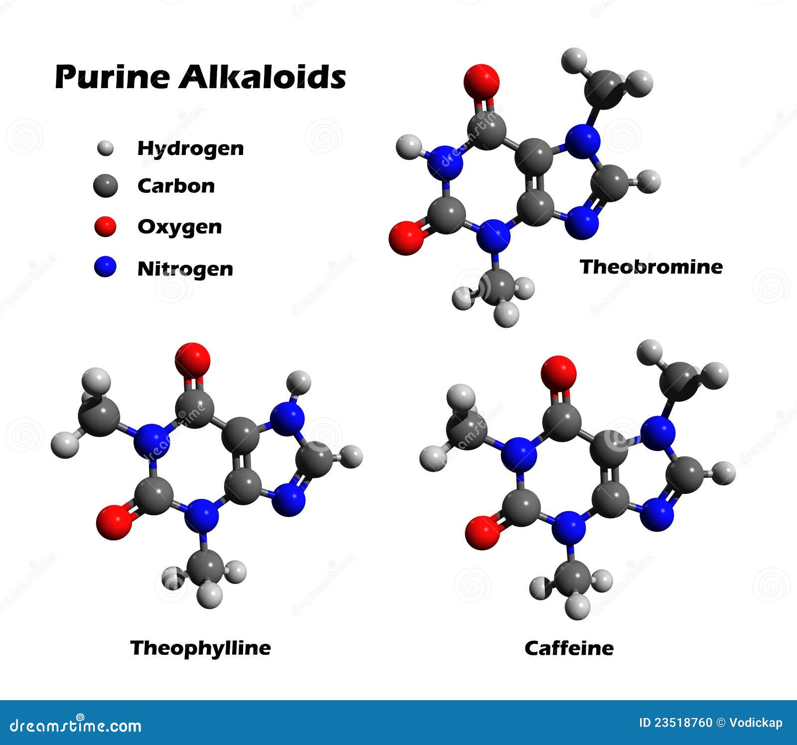 теофиллин теобромина кофеина алкалоидов Иллюстрация штока - иллюстрации ...