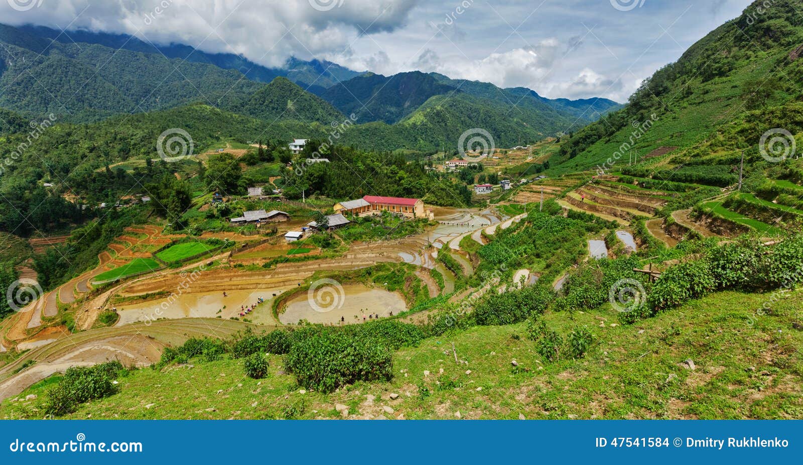 Террасы поля риса Около Sapa, Вьетнам. Панорама рисовых полей террас поля риса Около деревни кота кота, около Sapa, Вьетнам