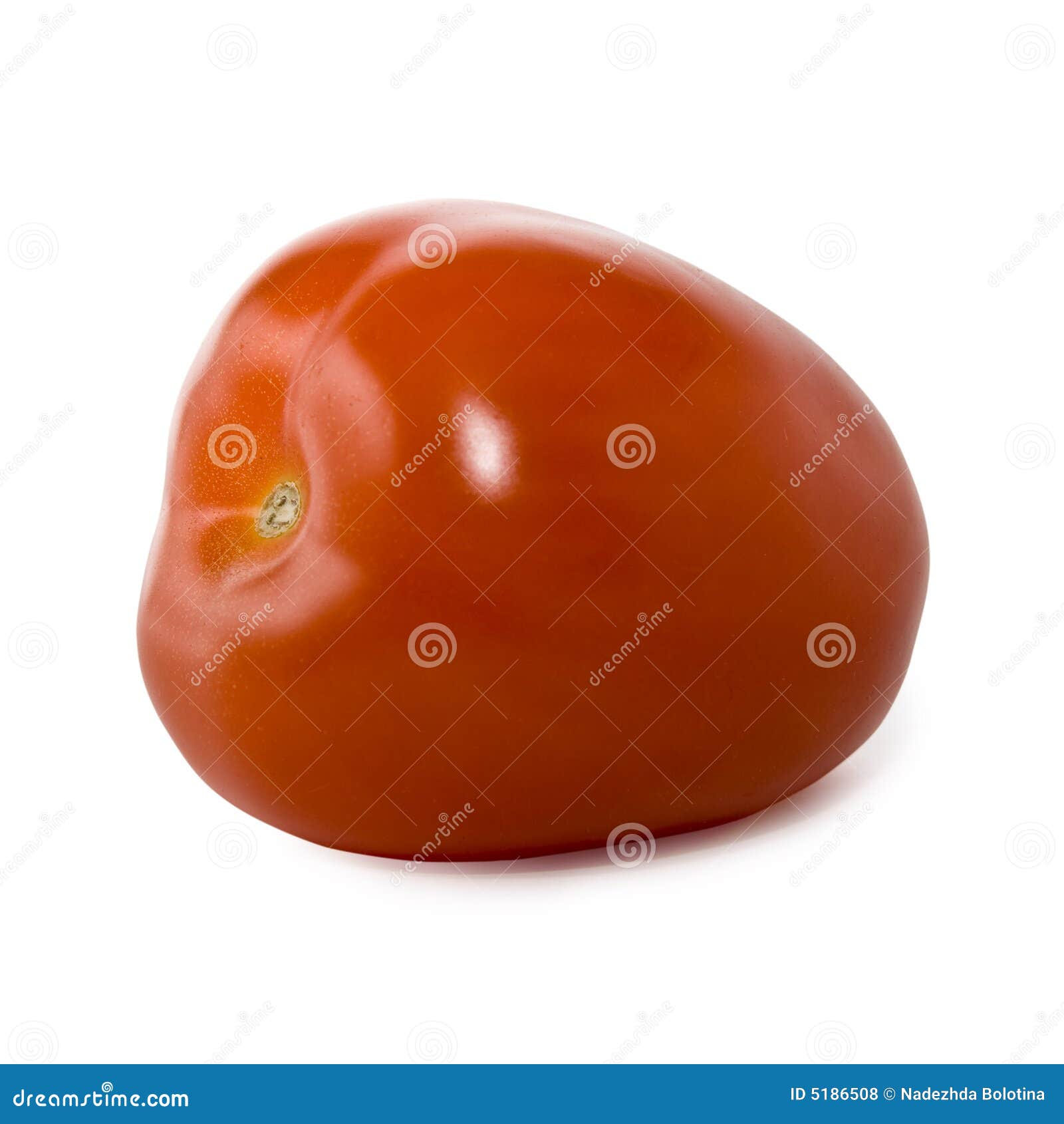 изолированная предпосылкой красная белизна томата