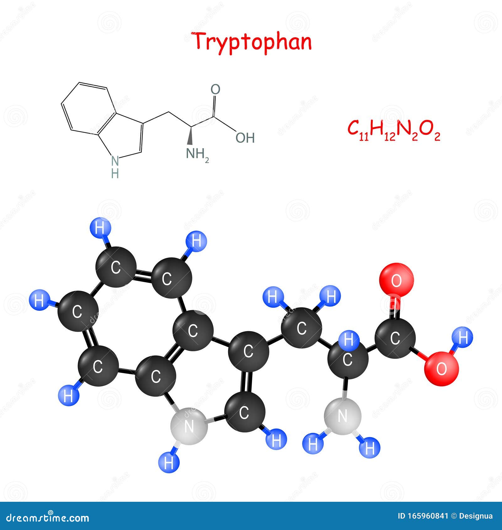 Триптофан Химическая структурная формула и модель молекулы Иллюстрация ...