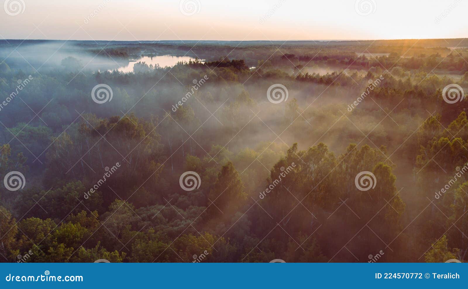 туман над лесом с синими и оранжевыми огнями Стоковое Фото ...