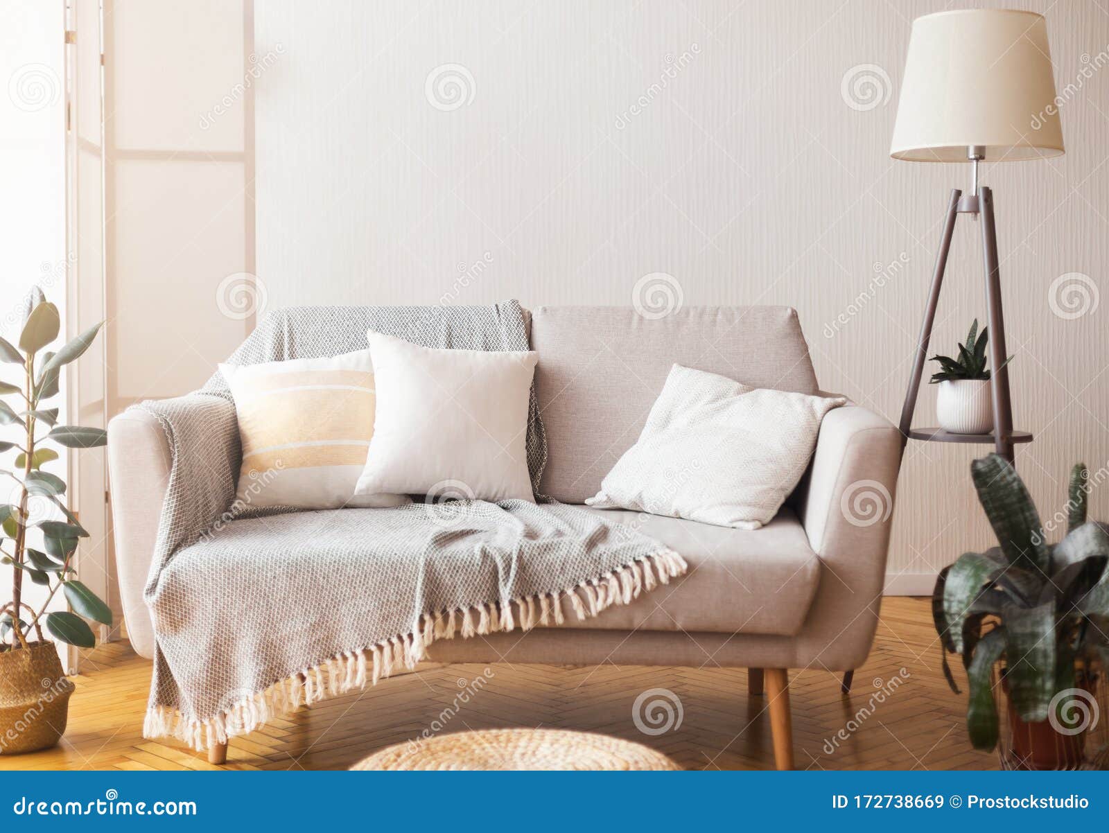 Фото дома на диване (144 фото)