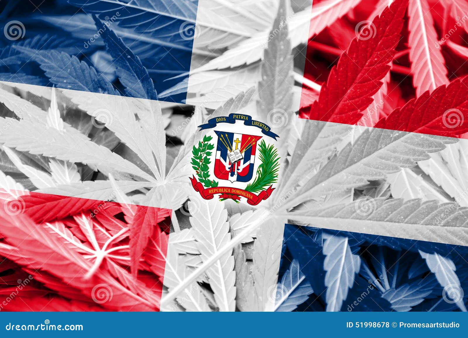 Марихуана в доминиканской республике марихуана в доминиканской республике