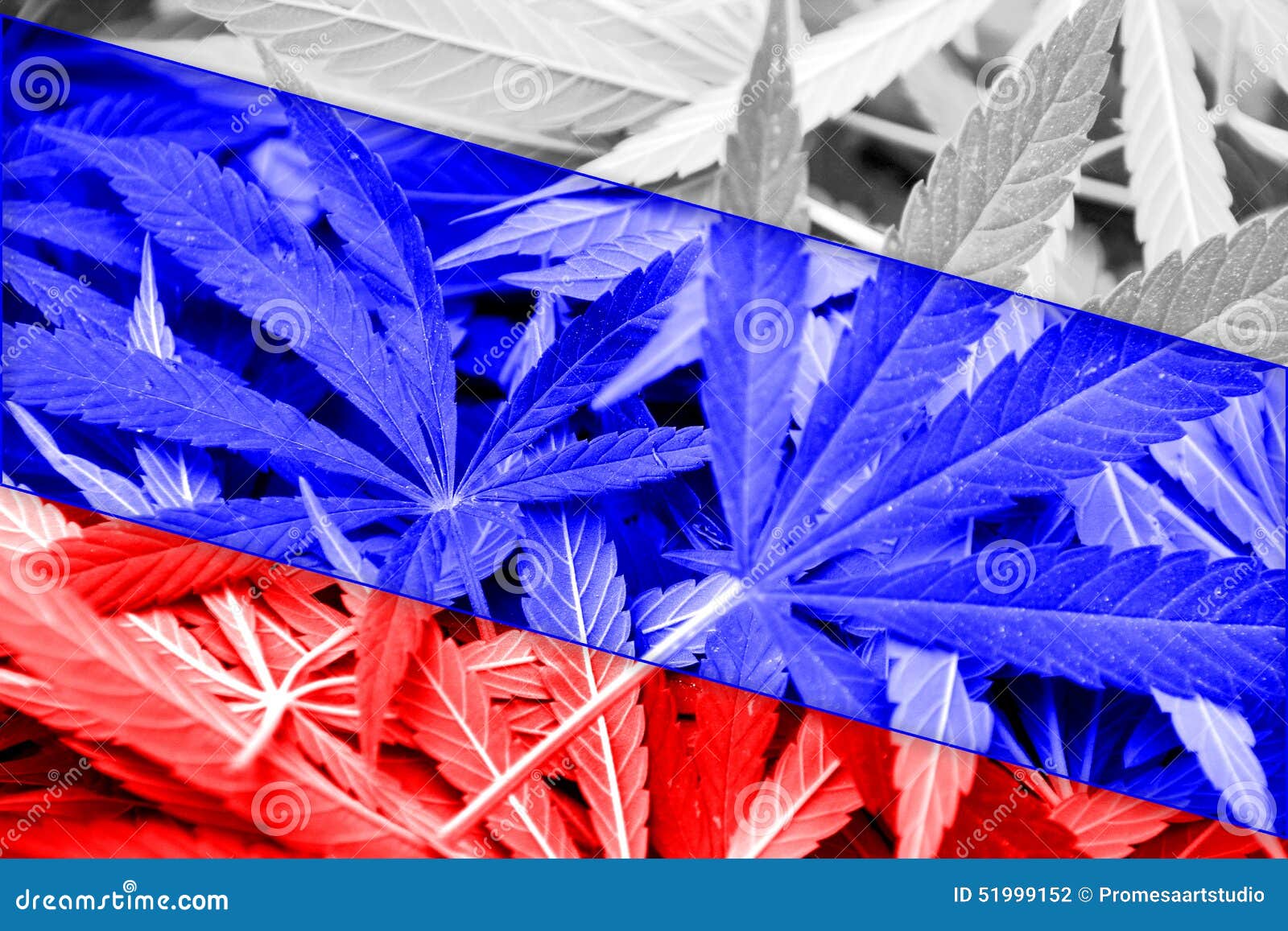 День марихуаны в россии расточки конопли