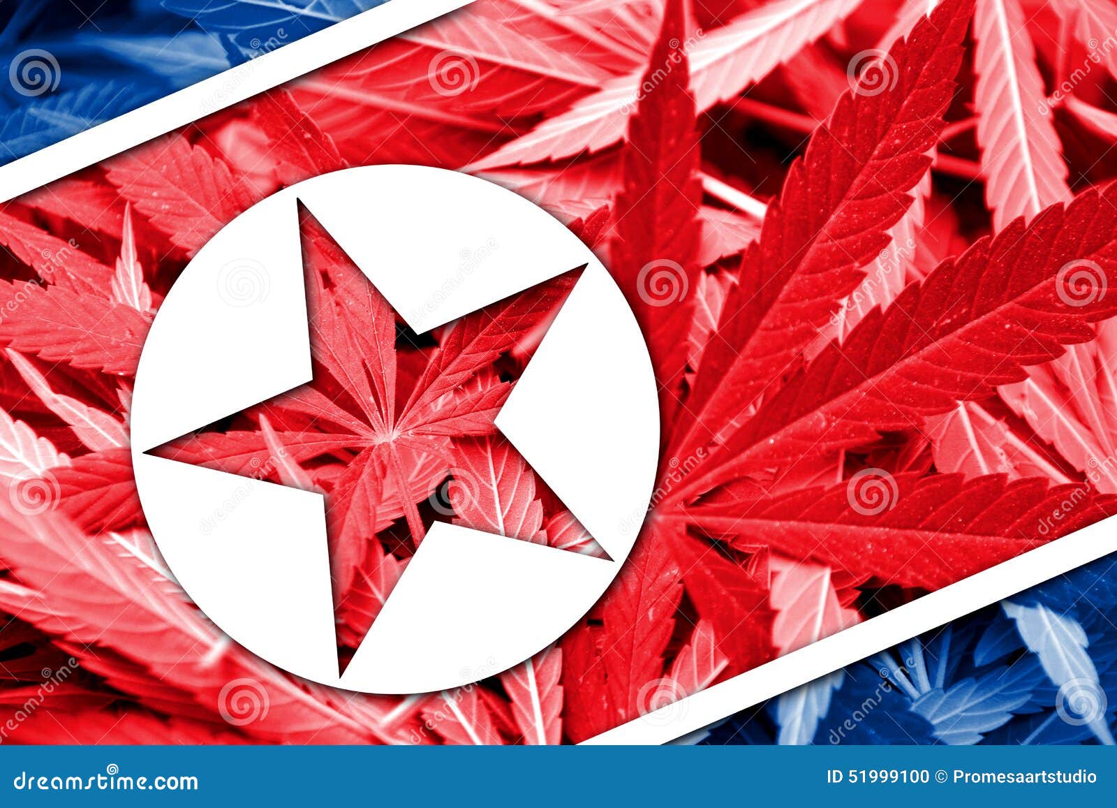 Северная корея легализация марихуаны автоцветущие сорта семян конопли