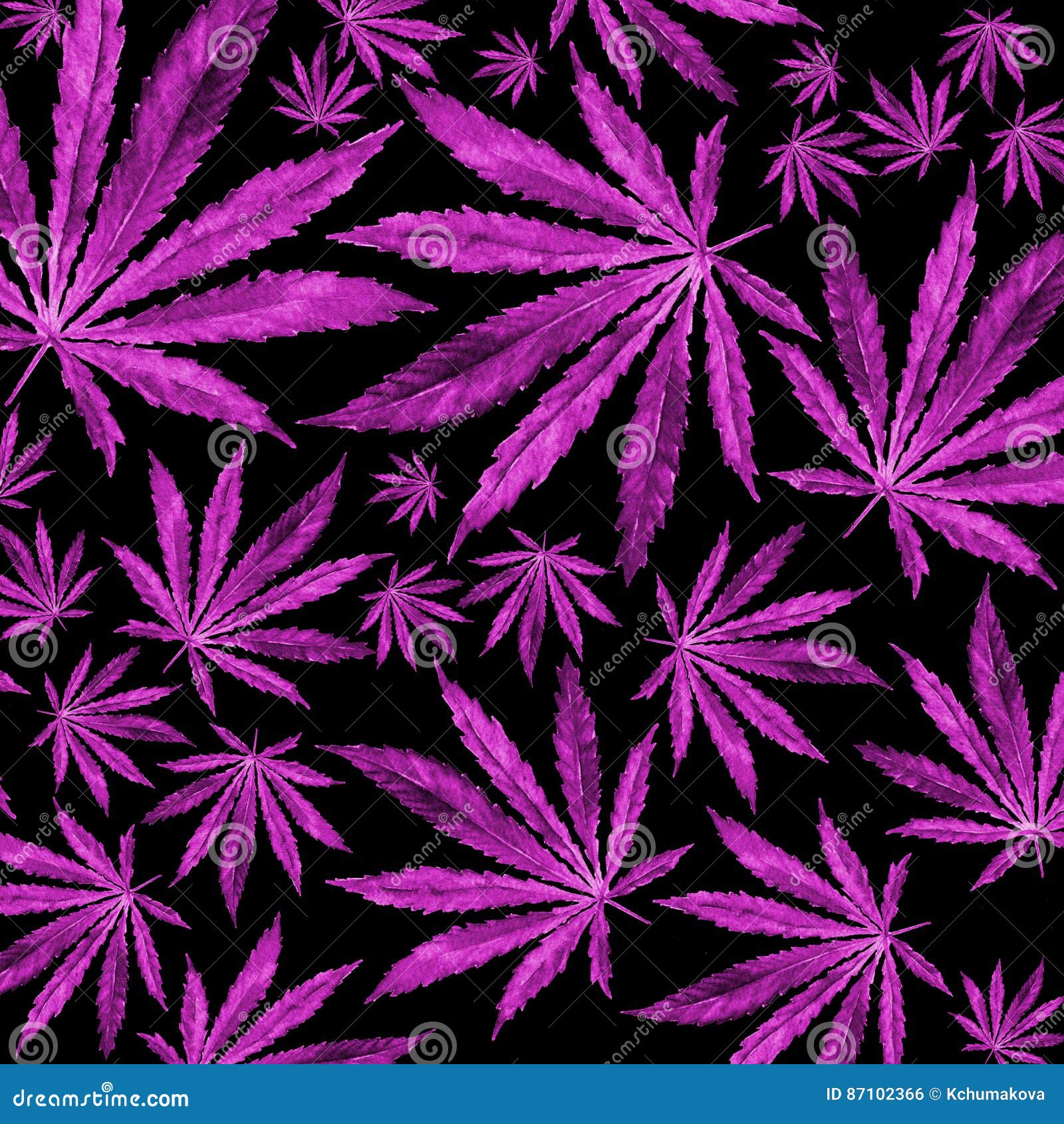 Листья марихуаны фиолетовые