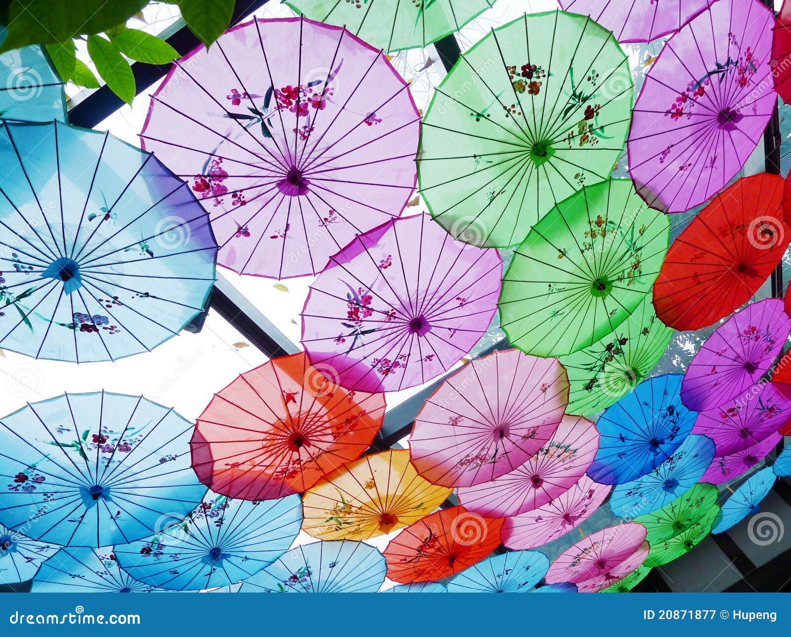 цветастый зонтик