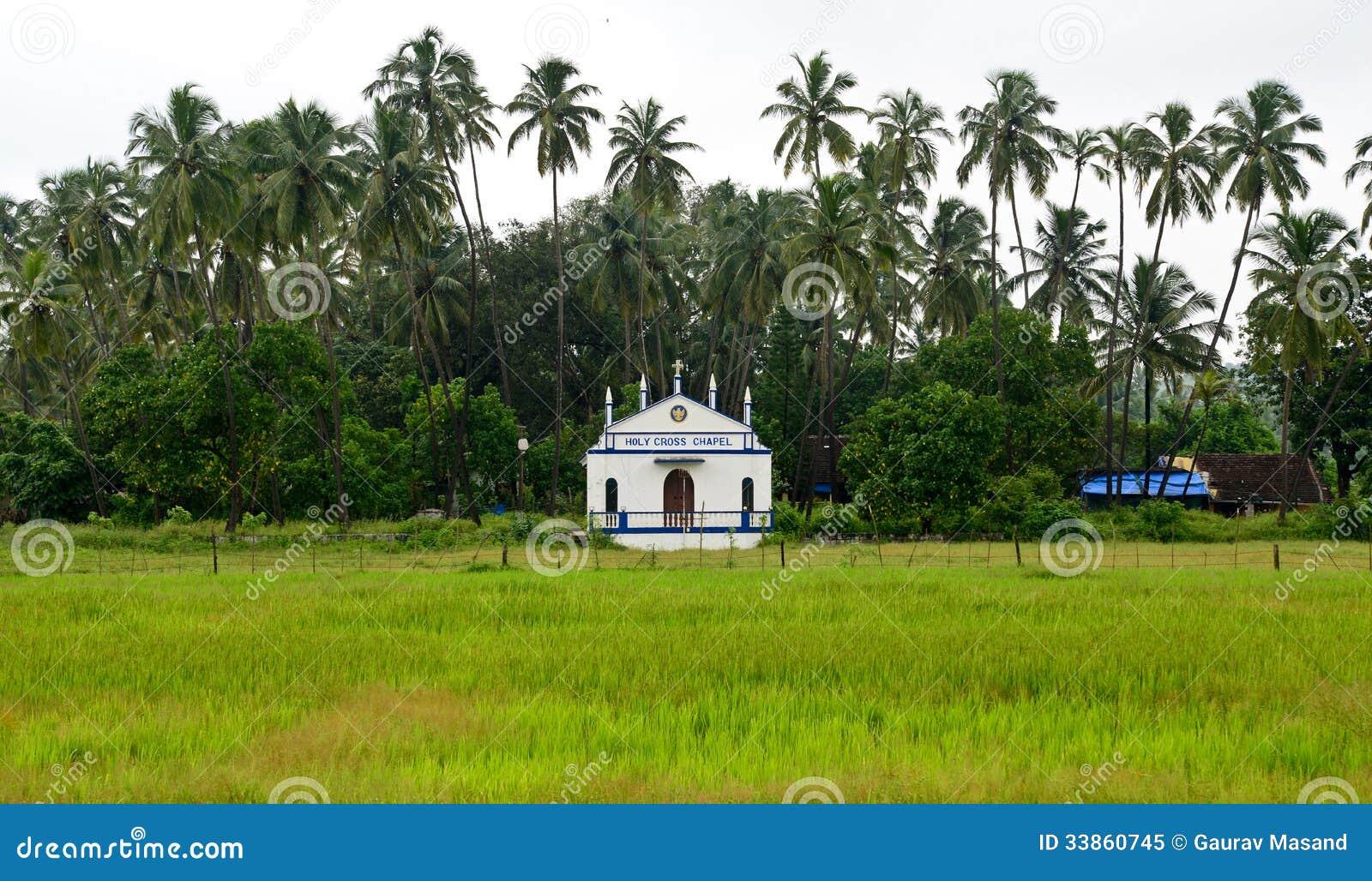 Церковь в Goa, между зелеными полями