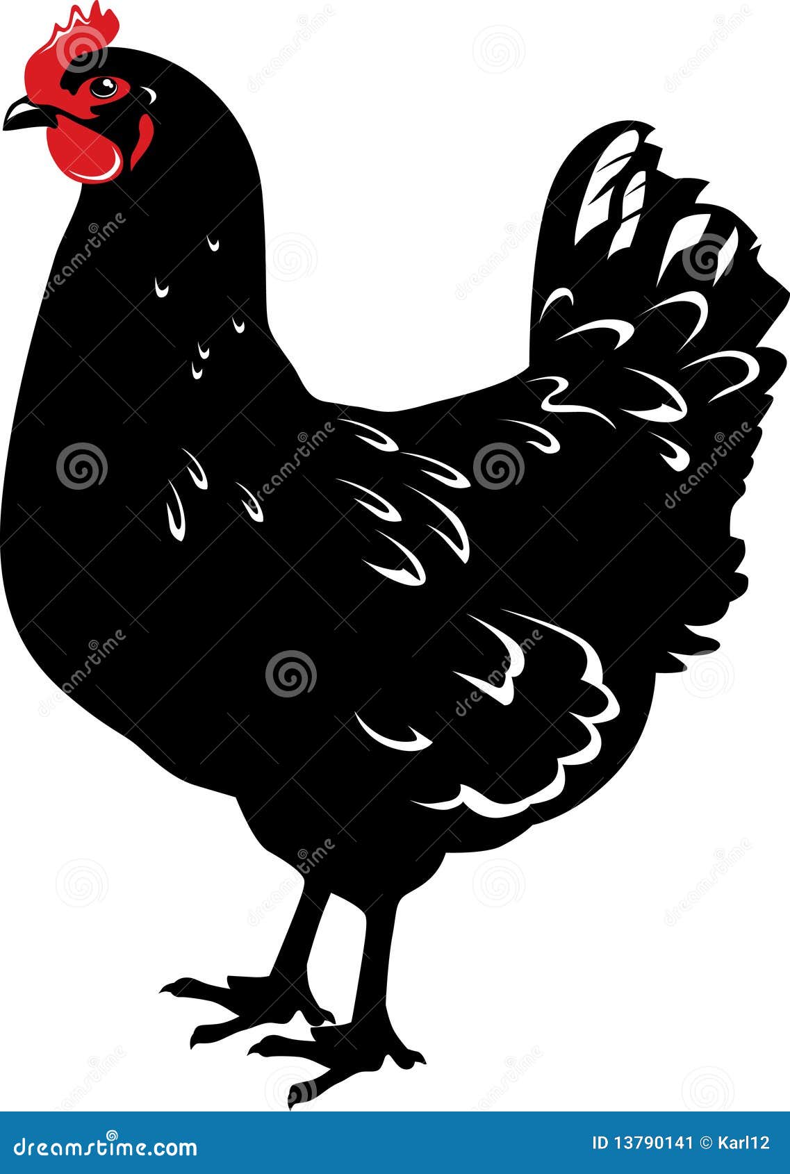 Черная курица рисунок