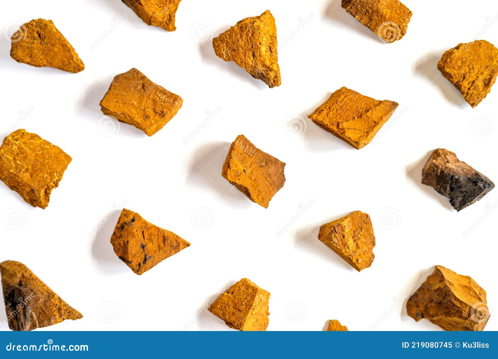 чага гриб. разломанные куски грибка чага для заваривания натуральных ...