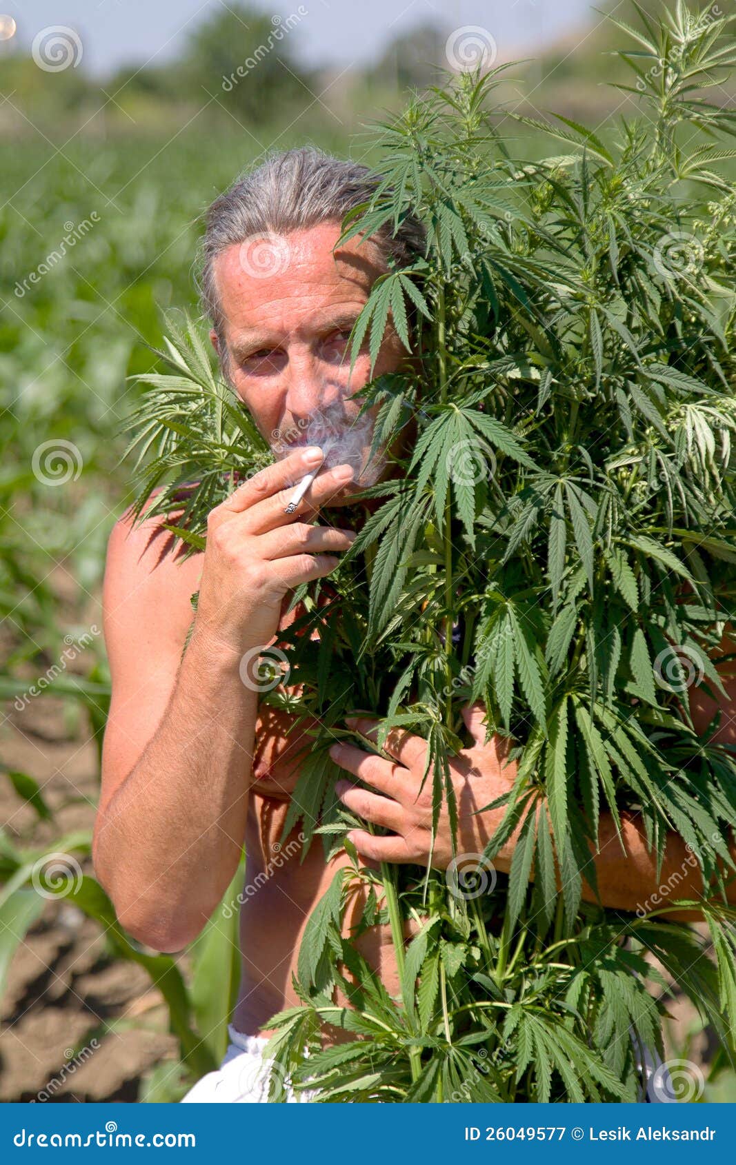 Марихуана и человек фото очищения мочи от марихуаны
