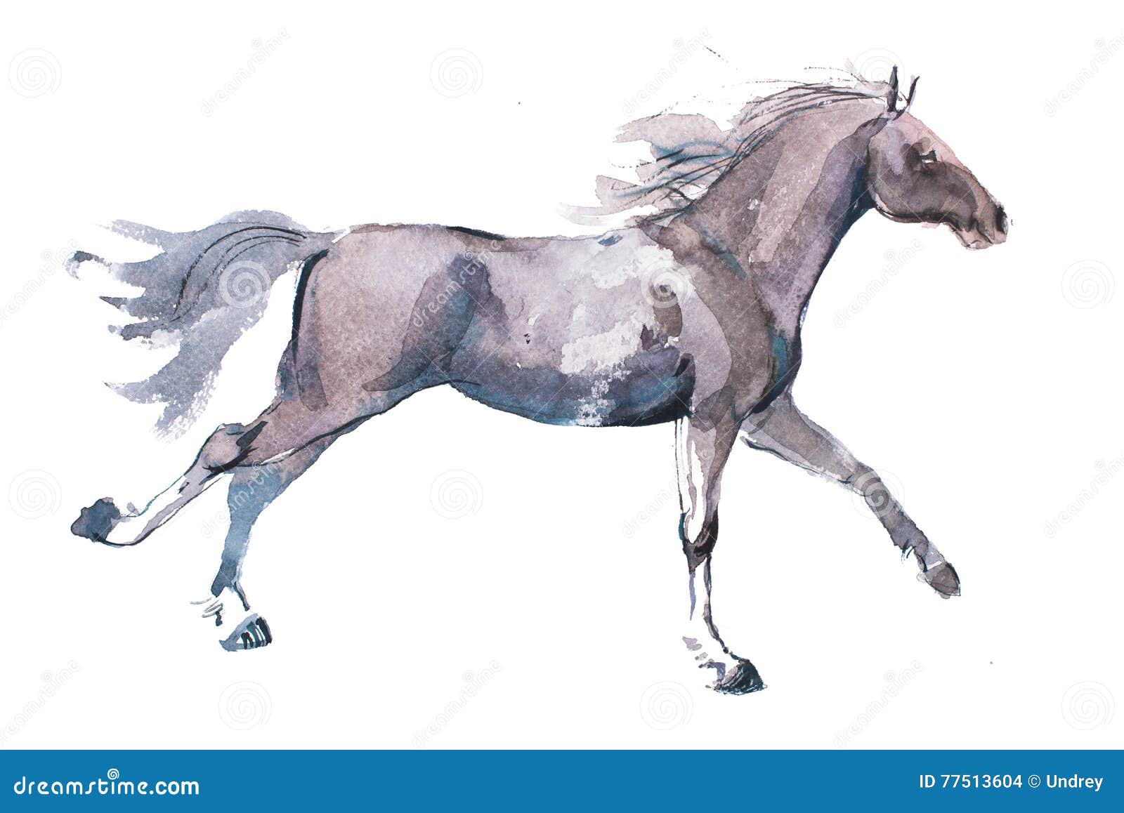 Лошадь акварель на белом фоне