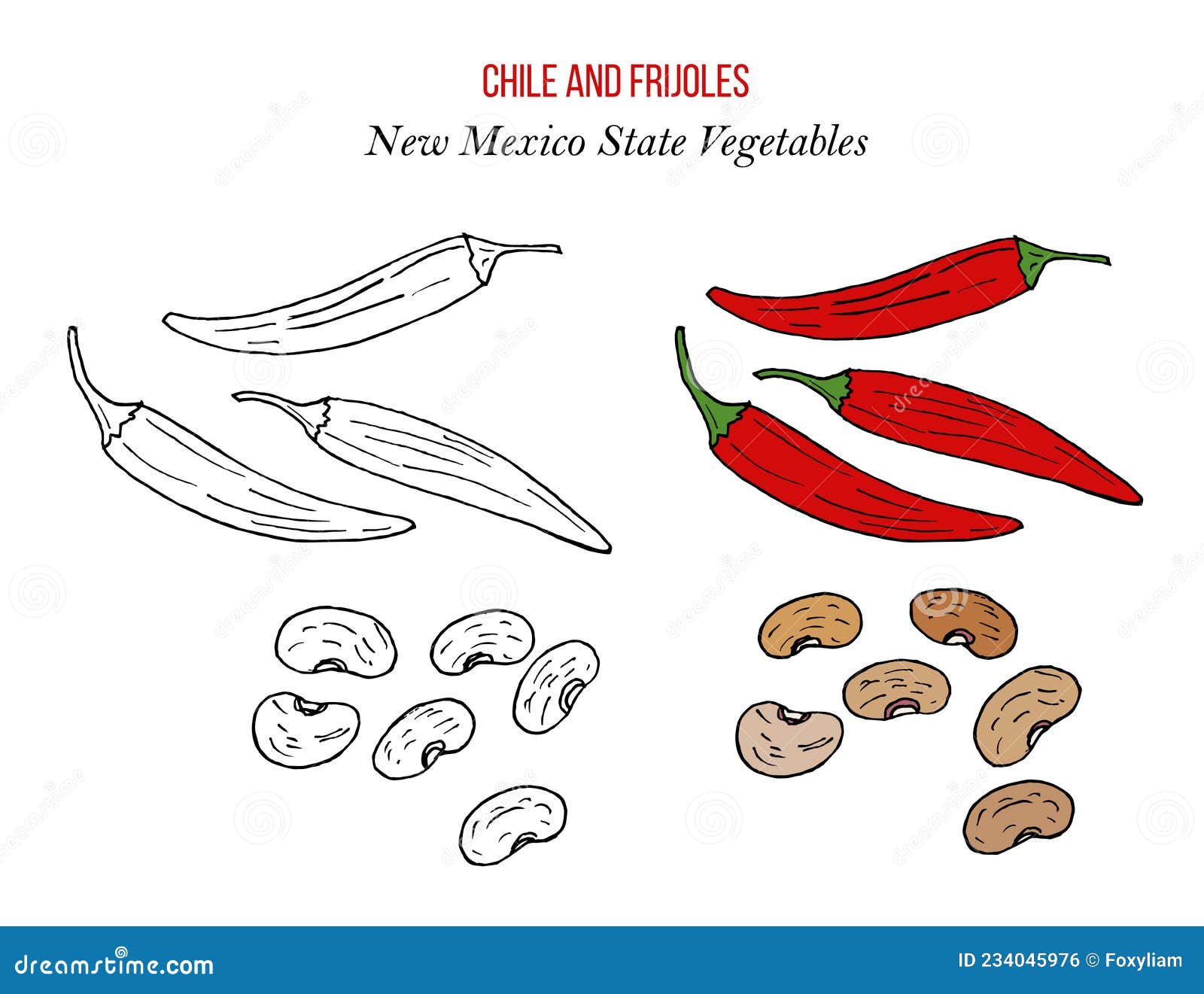 Чили-перц и фрихол-пинто-бобовые-бобы Иллюстрация вектора - иллюстрации ...