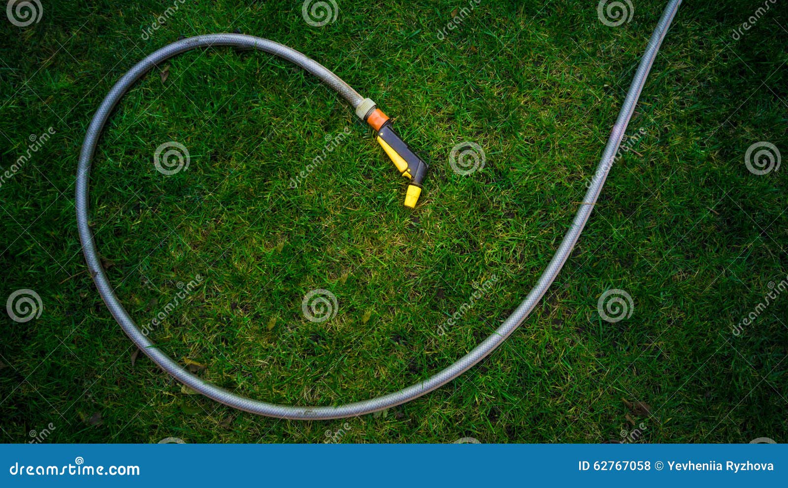 Шланг сада лежа на зеленой траве на саде Стоковое Фото - изображение ...