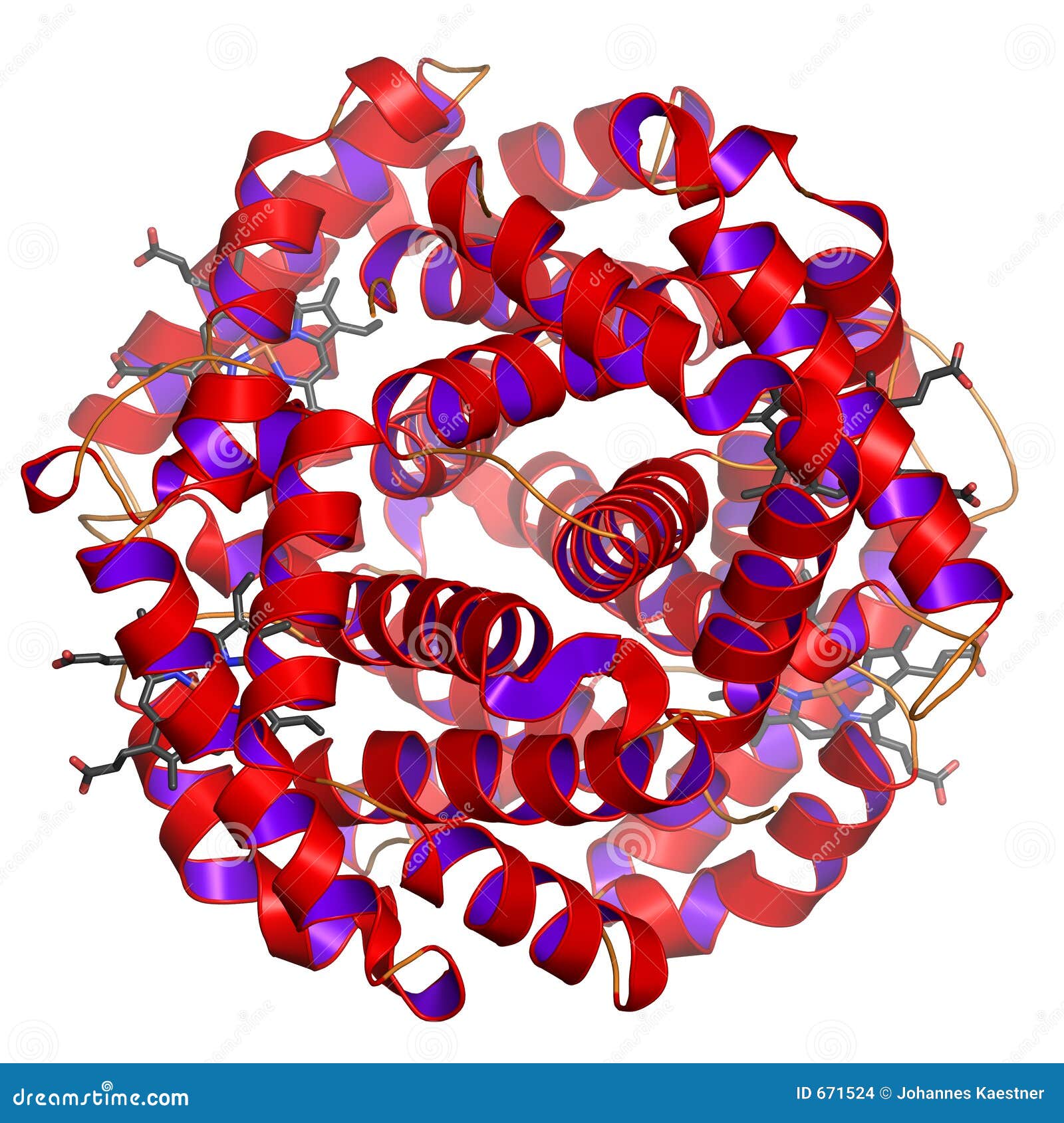 Глобулярные белки гемоглобин