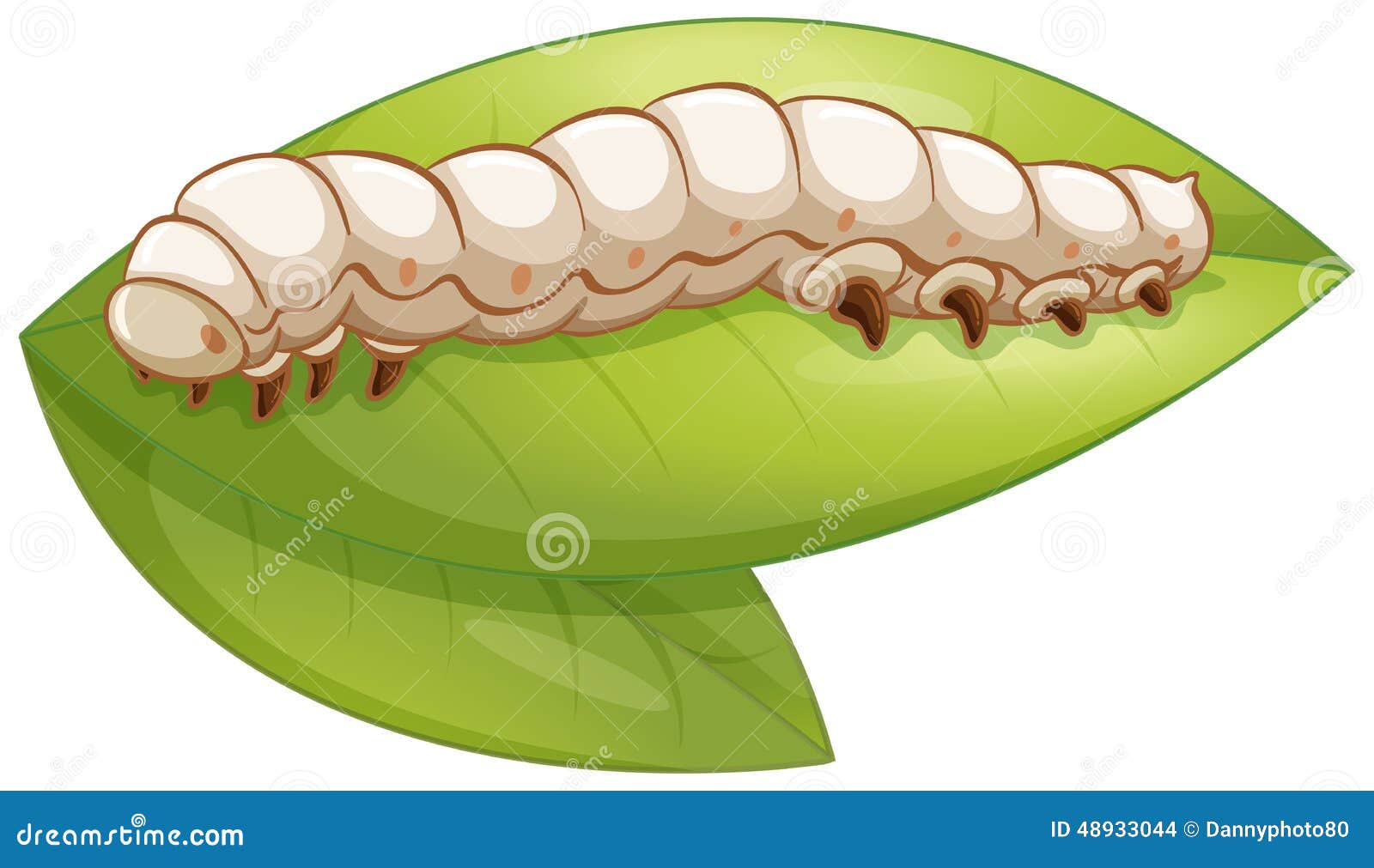 Шелковичный червь иллюстрация