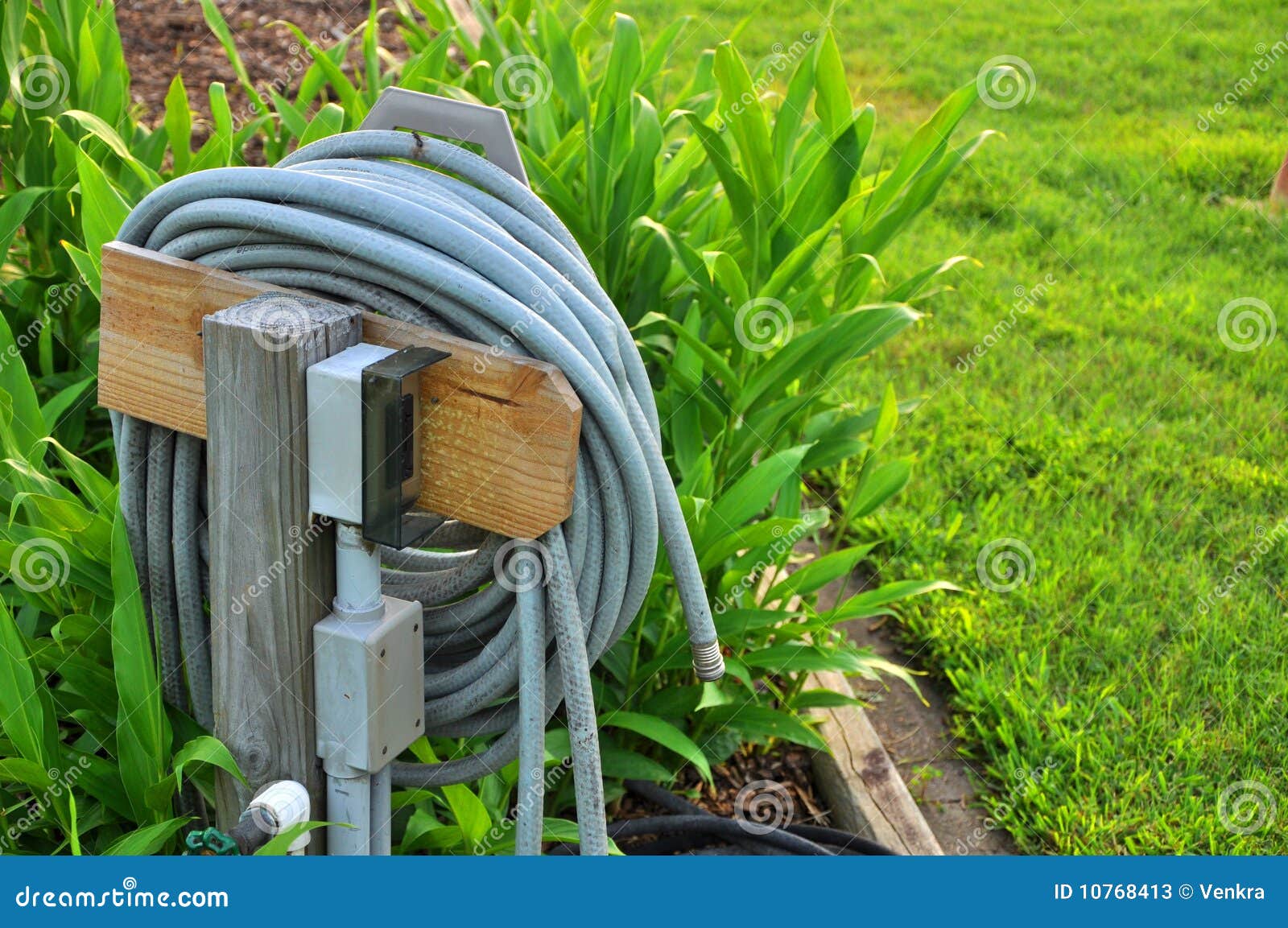 шланг сада стоковое изображение. изображение насчитывающей поле - 10768413